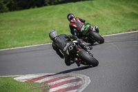 Lower Group Black Bikes